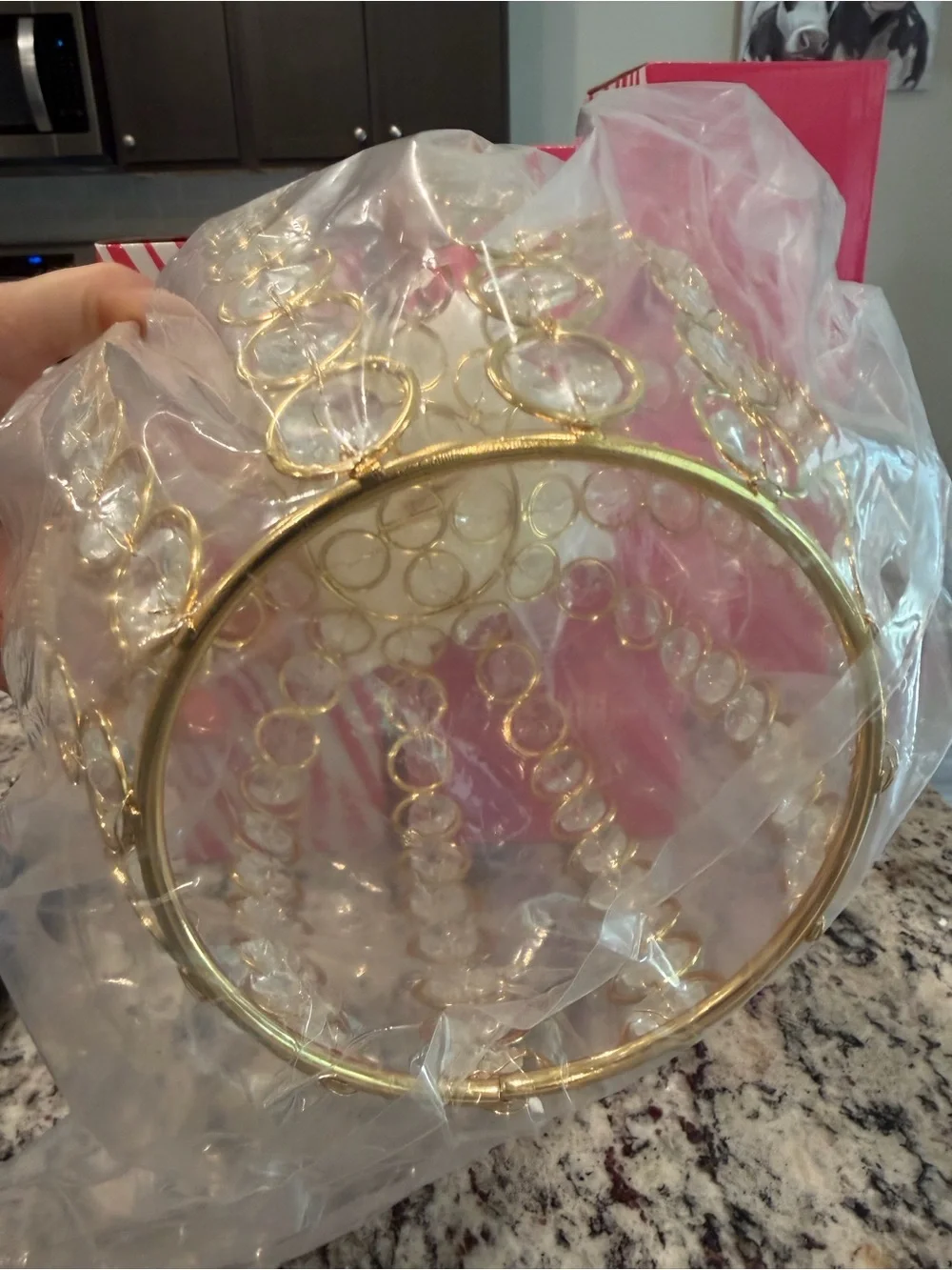 Pink Zebra Accent Shade BLING APPLE New In Box Approx 8” X 8”